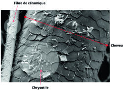 Image d’une fibre de chrysotile, d’une fibre de céramique etd’un cheveu au microscope électronique à balayage (MEB).
