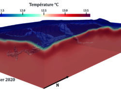 Champ de température simulé dans le massif de la grotte deLascaux simulée pour janvier 2020. La cavité est représentée engris (Lharti, 2023).