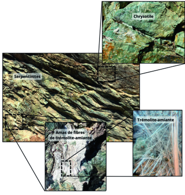 LE REPÉRAGE AVANT TRAVAUX DE L'AMIANTE ENVIRONNEMENTAL - <p>Affleurement de serpentinites (Haute-Corse) avec des filonnets<br />de chrysotile (minéral toujours amiantifère) et des amas de<br />fibres de trémolite-amiante (« terre blanche »).</p>